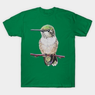 Perched Hummingbird T-Shirt